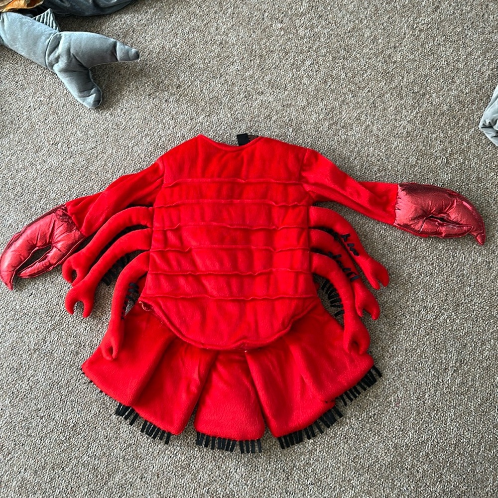 Lobster Costume 🦞